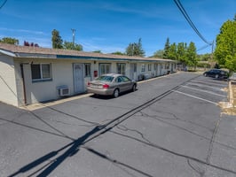 32036406
