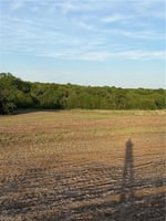 32459700