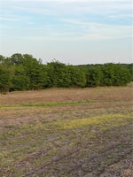 32459714