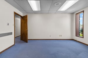 32043811