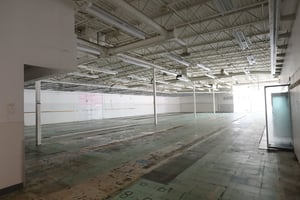 32045736