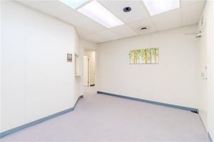 32046913