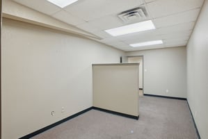 32050455