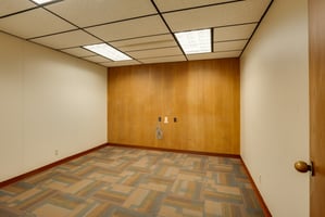 32049535
