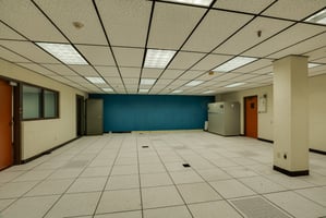32049556