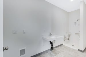 32049853