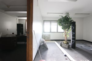 32050756