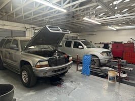 32304539
