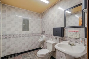 32131919