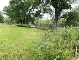 32155589