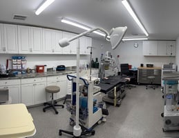 32155848