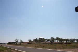 32162455