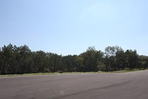 32162456