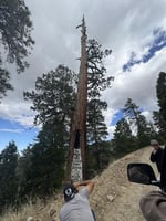 32183619