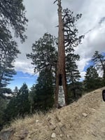 32183631