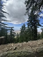 32183644