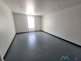 33987519