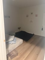 32287824