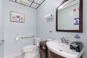 32202837