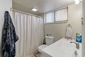 32203646