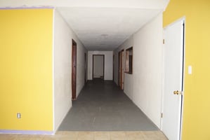 32203737