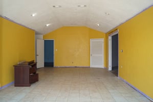 32203731