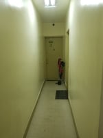 32204117