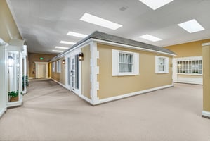 32204546