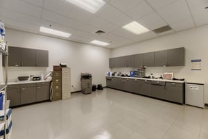 32204592