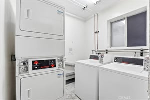 32302557