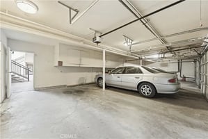 32302558