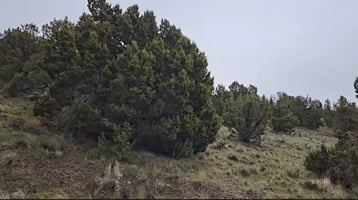 32214575