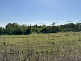 32295291