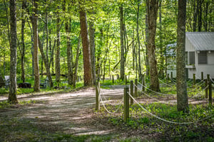 32874686
