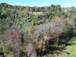32236568