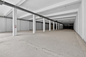 32245005