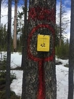 32245025