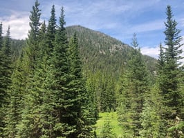 32245415