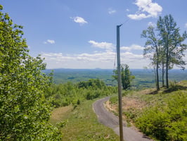 32246241