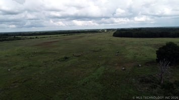 32246382