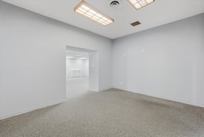 32255629