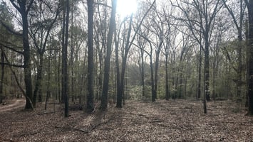 32264989