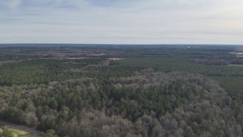 32264982