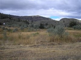 32273593