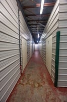 32273793