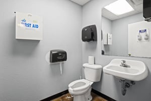 32279858