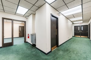 32282449
