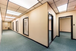 32282484
