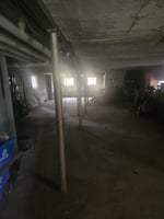 32282492