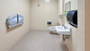 32286037